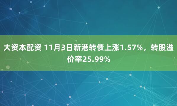 大资本配资 11月3日新港转债上涨1.57%，转股溢价率25.99%